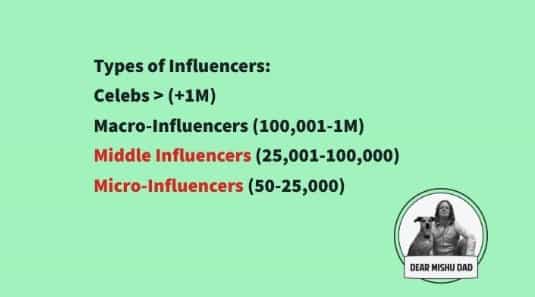 thextraordinarionly types of influencers by Dear Mishu Dad